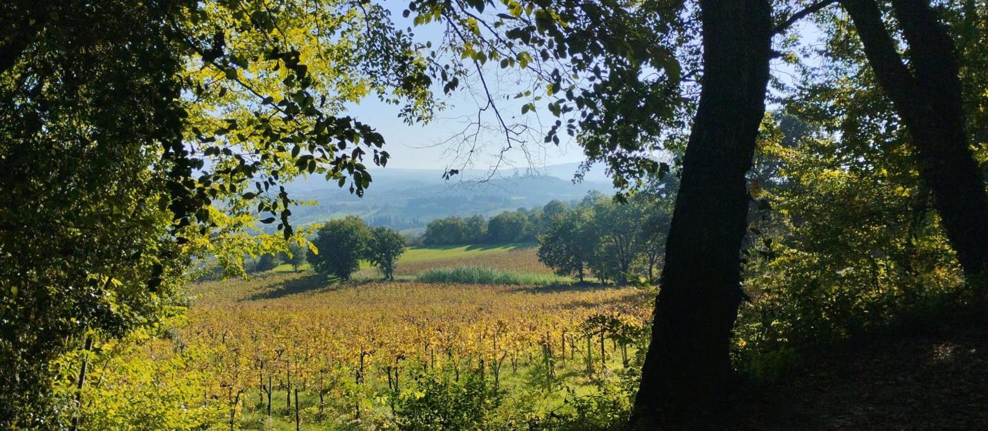 Vila Cielo - Antica Casa Sulla Via Francigena San Gimignano Exteriér fotografie